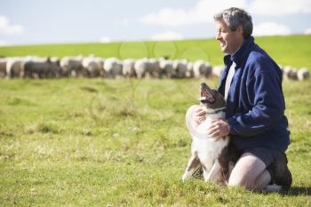 Royalty Free Photo of a Farmer and Dog With Sheep