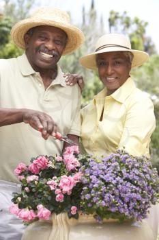 Royalty Free Photo of a Couple in a Garden