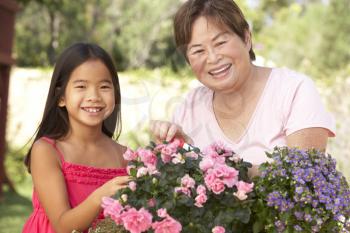 Royalty Free Photo of a Woman and Her Granddaughter With Flowers
