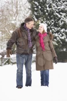 Senior Couple Walking In Snowy Landscape