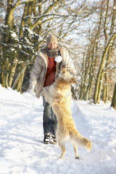 Man Walking Dog Through Snowy Woodland