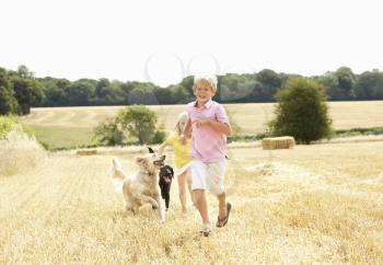 Boy With Dogs Running Through Summer Harvested Field