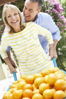 Senior Couple Pushing Wheelbarrow Filled With Oranges