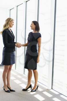 Two Businesswomen Shaking Hands In Office