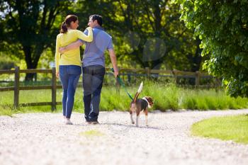 Rear View Of Hispanic Couple Walking Dog In Countryside