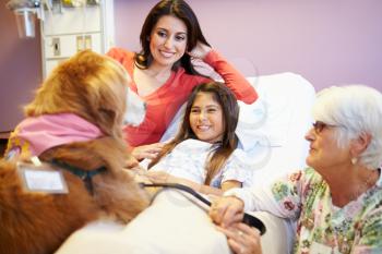 Young Girl Being Visited In Hospital By Therapy Dog