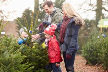 Outdoor Family Choosing Christmas Tree Together