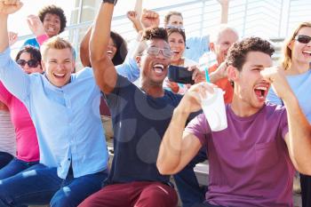 Audience Cheering At Outdoor Concert Performance