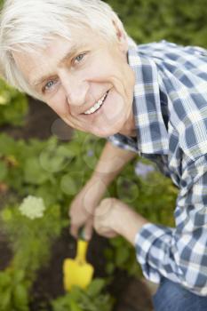Mid age man gardening