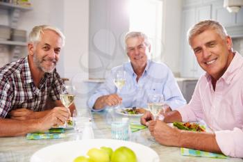 Portrait Of Mature Male Friends Enjoying Meal At Home