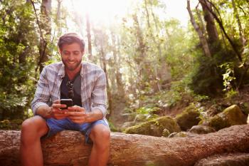 Man Sits On Tree Trunk In Forest Using Mobile Phone