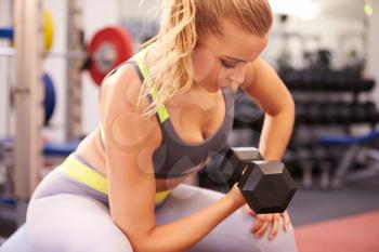 Young woman exercising with dumbbells at a gym, horizontal