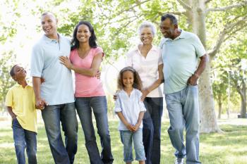 Multi Generation African American Family Walking In Park