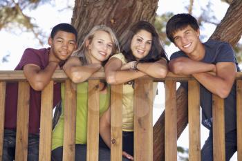 Group Of Teenage Friends In Treehouse