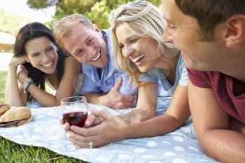 Group Of Friends Enjoying Picnic Together