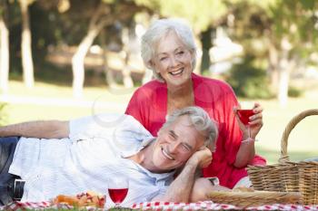 Senior Couple Enjoying Picnic Together