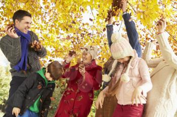Multl Generation Family Throwing Leaves In Autumn Garden