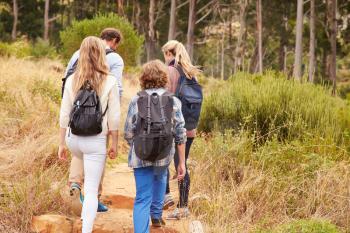 Family walking on a trail into a forest, back view