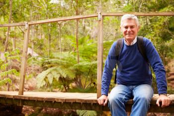 Senior man sitting on a bridge in a forest looking to camera