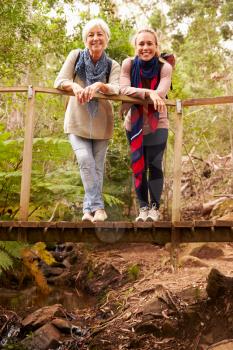 Mother and adult daughter on a bridge in a forest, to camera