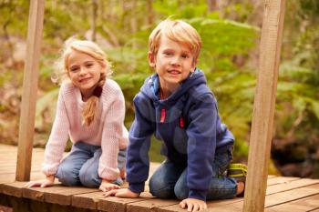 Young siblings sitting on a bridge in a forest, portrait