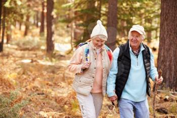 Senior couple hold hands hiking in a forest, California, USA