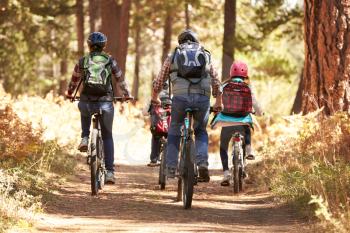 Family mountain biking on forest trail, back view