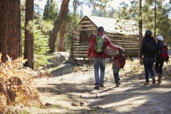Family walking towards a log cabin in a forest, back view