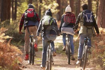 Group of friends on bikes in a forest, back view close up