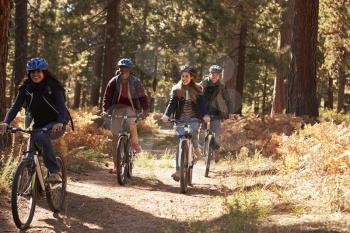 Group four friends in helmets riding bikes on a forest path