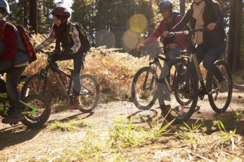 Family riding bikes on a forest path, crop shot