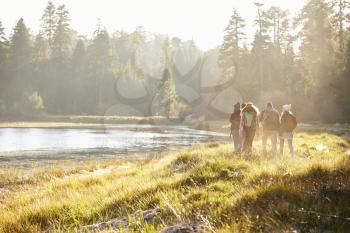 Five friends walking near a lake, distant, back view
