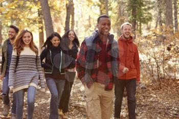 Group of six friends hiking together through a forest