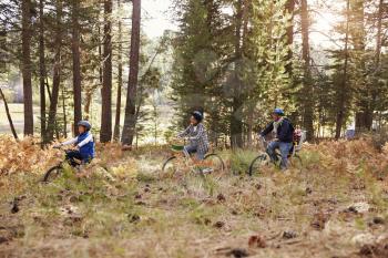 Family cycling through a forest together, side view, closer