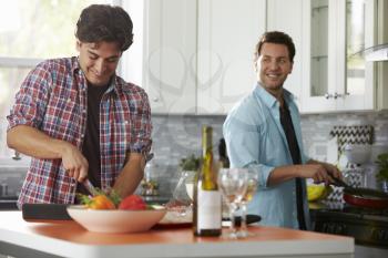 Male gay couple preparing a meal together in the kitchen