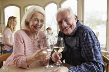 Senior Couple Enjoying Glass Of Wine In Restaurant