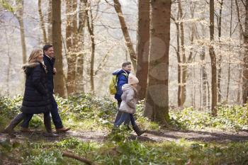 Side view of family walking in a wood