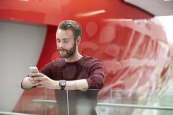 Bearded male student using smartphone in university building