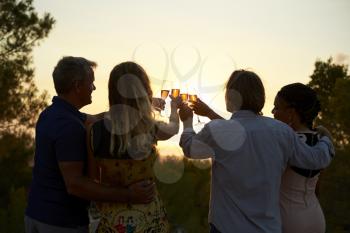 Two couples on a rooftop making a toast at sunset, back view