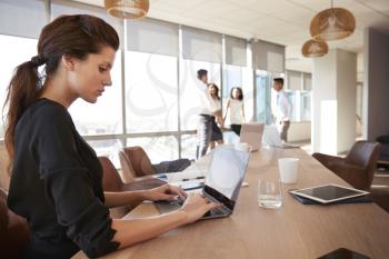 Businesswoman Uses Laptop As Colleagues Meet In Background