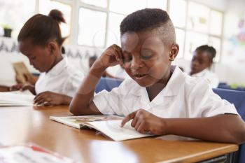 Elementary school boy reading a book at his desk in class