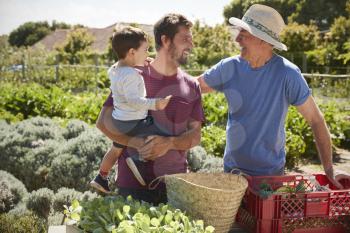 Father With Adult Son And Grandson Working On Allotment