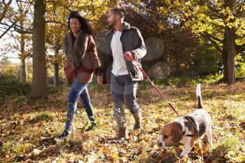 Couple Exercising Dog In Autumn Woodland