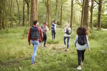 A group of five young adult friends talk while walking in a forest during a hike, back view