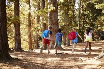 Children Running Along Forest Trail On Hiking Adventure