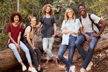 Young adult friends hiking in a forest resting on a fallen tree, smiling to camera, full length