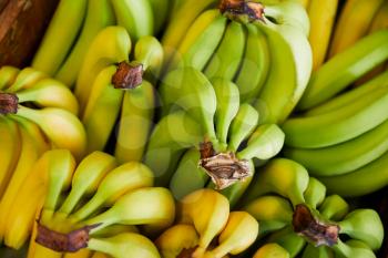 Full Frame Shot Of Fresh Bananas Displayed In Organic Farm Shop