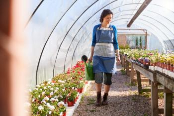 Mature Woman Working In Garden Center Watering Plants In Greenhouse With Watering Can