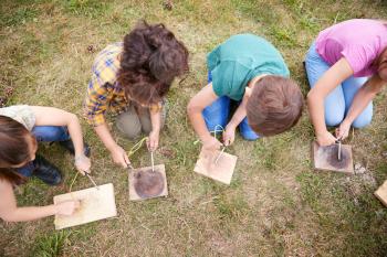 Overhead Shot Of Group Of Children On Outdoor Camping Trip Learning How To Make Fire