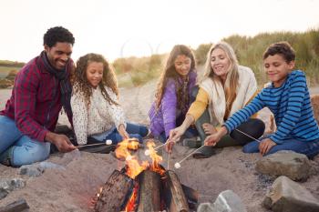 Multi-Cultural Toasting Marshmallows Around Fire On Winter Beach Vacation